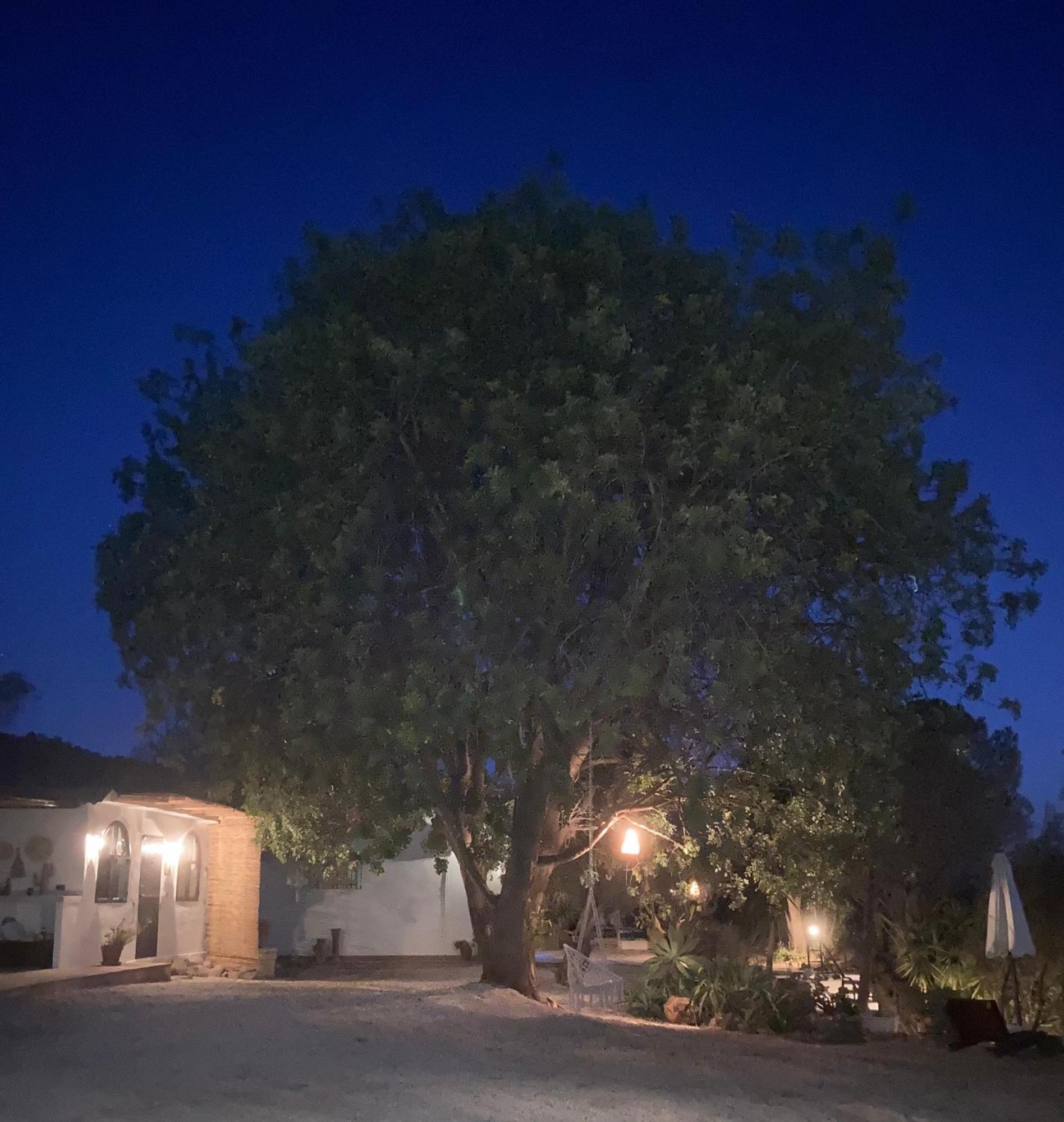 Bed and Breakfast Casa Del Sueno Alora Exterior foto